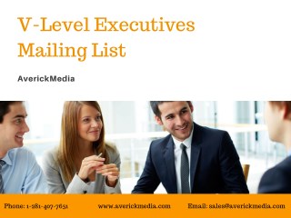 V Level Executives Mailing List