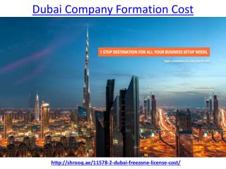 Which is the best Dubai Freezone License Cost