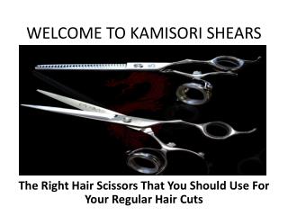 The Right Hair Scissors That You Should Use For Your Regular Hair Cuts