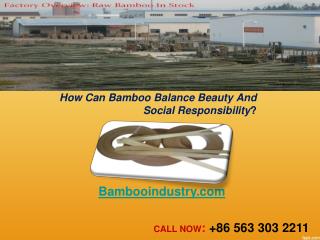 How Can Bamboo Balance Beauty And Social Responsibility?