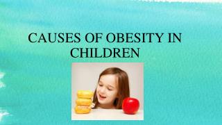 Causes Of Obesity In Children