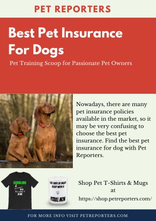 Best Pet Insurance For Dogs