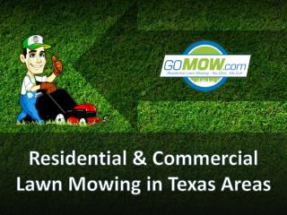 Residential & Commercial Lawn Mowing Services in Texas Areas
