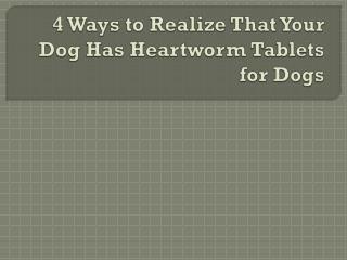 4 Ways to Realize That Your Dog Has Heartworm Tablets for Dogs