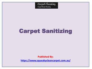 Carpet Cleaning-Carpet Sanitizing