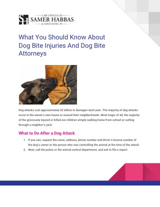 What You Should Know About  Dog Bite Injuries And Dog Bite  Attorneys