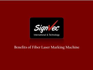 Fiber Laser Marking Machine