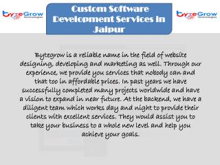 Software Development Service Provider Company