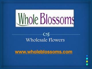 Wholesale Flowers - www.wholeblossoms.com