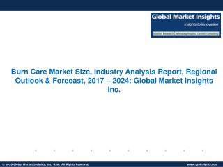 Burn Care Market Size, Share, Trends and Research Report Forecast to 2024