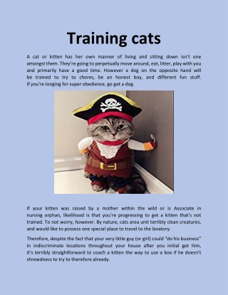 Training cats