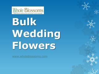 Bulk Wedding Flowers - www.wholeblossoms.com