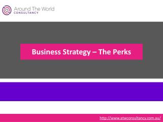 Business Strategy – The Perks