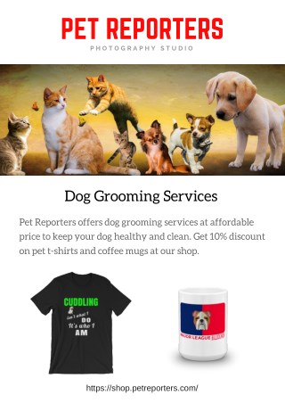 Dog Grooming Services