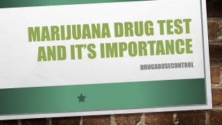 Marijuana Drug Test and It’s Importance