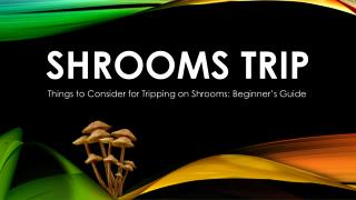 Shrooms Trip: Things to Consider for Tripping on Shrooms