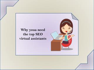 Top SEO VAs The Affordable SEO Services For Your Need
