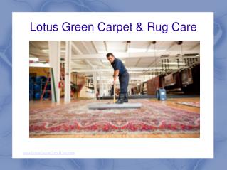 Carpet Cleaning DC