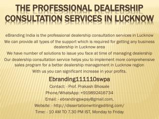 The Professional Dealership Consultation Services in Lucknow