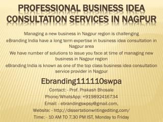 Professional Business Idea Consultation Services in Nagpur