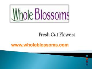 Fresh Cut Flowers – Whole Blossoms