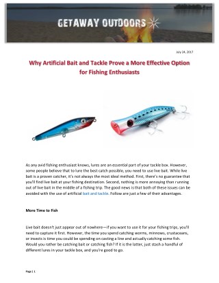 Why Artificial Bait and Tackle Prove a More Effective Option for Fishing Enthusiasts