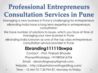 Professional Entrepreneurs Consultation Services in Pune