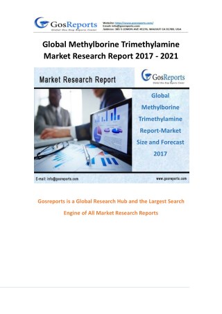 Methylborine Trimethylamine Report by Material, Application, and Geography 2017