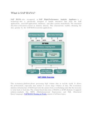 SAP HANA Training in Noida