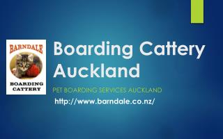 Boarding Cattery Auckland