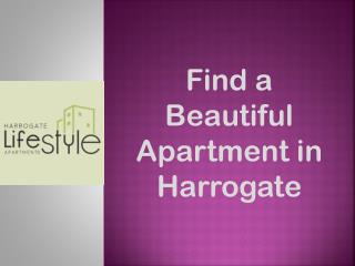 Find a Beautiful Apartment in Harrogate