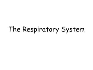 The Respiratory System