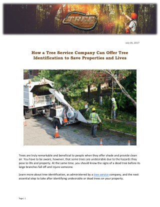 How a Tree Service Company Can Offer Tree Identification to Save Properties and Lives
