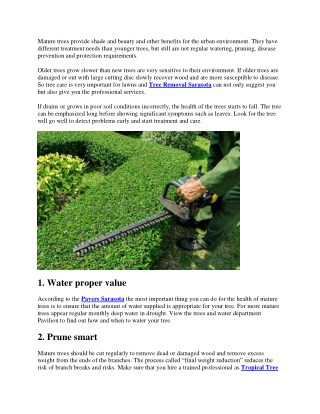 Mature trees and their shading benefits