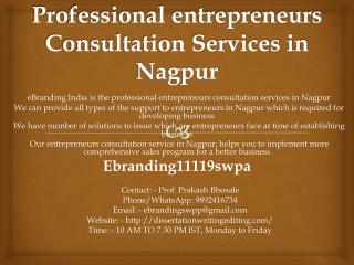 Professional entrepreneurs Consultation Services in Nagpur