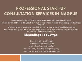 Professional Start-up Consultation Services in Nagpur