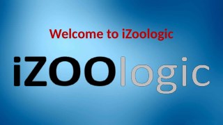 Online Fraud Prevention | iZOOlogic