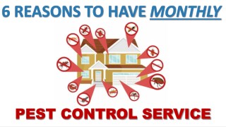 The Benefits of Monthly Pest Control Service