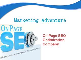 On Page SEO Optimization Company