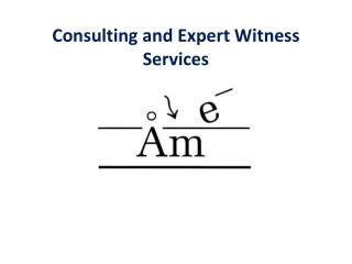 Consulting and Expert Witness Services