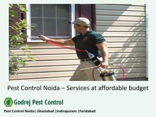 Pest Control Noida – services at affordable budget