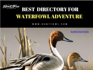 Best Directory for Waterfowl Adventure Experience