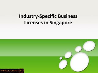 Industry-Specific Business Licenses in Singapore