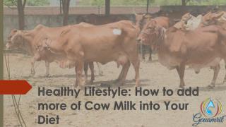 Healthy Lifestyle How to add more of Cow Milk into Your Diet