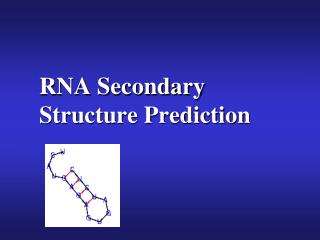 PPT - RNA Secondary Structure Prediction PowerPoint Presentation, Free ...