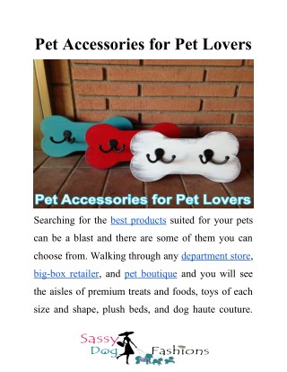 Pet Accessories for Pet Lovers