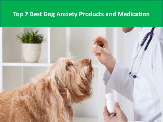 Top 7 Best Dog Anxiety Products and Medication