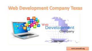 Web Development Company Texas