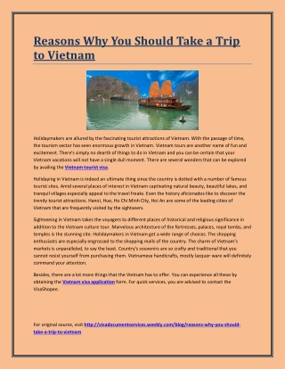 Reasons Why You Should Take a Trip to Vietnam
