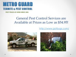 General Pest Control Services are Available at Prices as Low as $54.95!